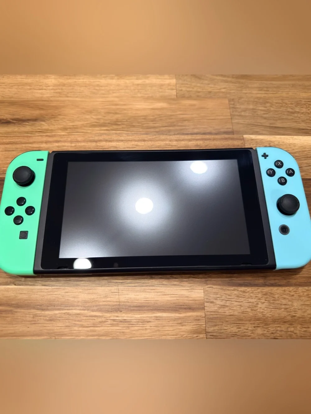 Animal Crossing Edition Nintendo Switch with Leaf Case Bundle